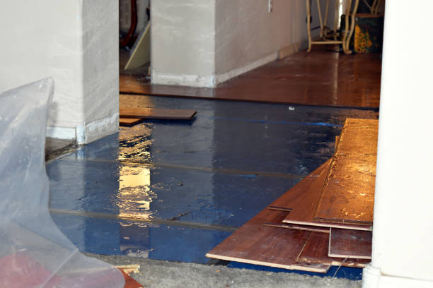 Professional Water Damage Restoration technician working in La Conner, WA